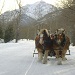 Maroon Bells Outfitters Sleigh Rides - Join us for a winter sleigh ride along Maroon Creek in the Maroon Bells. We offer sleigh rides throughout the day, or a Apres Ski Wine & Cheese ride at 4pm. Call today!