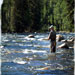 Aspen Adventure Collection - Aspen Trout Guides - Half or Full day of guided fishing in for beautiful native Cutthroat, Rainbow, German Brown, & Brook Trout in locations not available to all guide services in the valley!