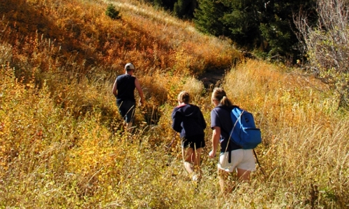 Aspen Hiking