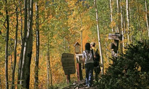 Hiking Trail near Aspen Colorado