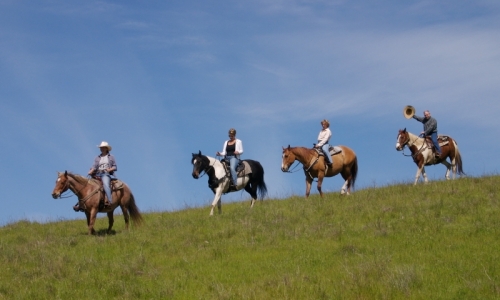 Aspen Horseback Rides