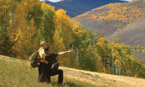 Family Kids Hiking Rocky Mountains Colorado Trail Aspens