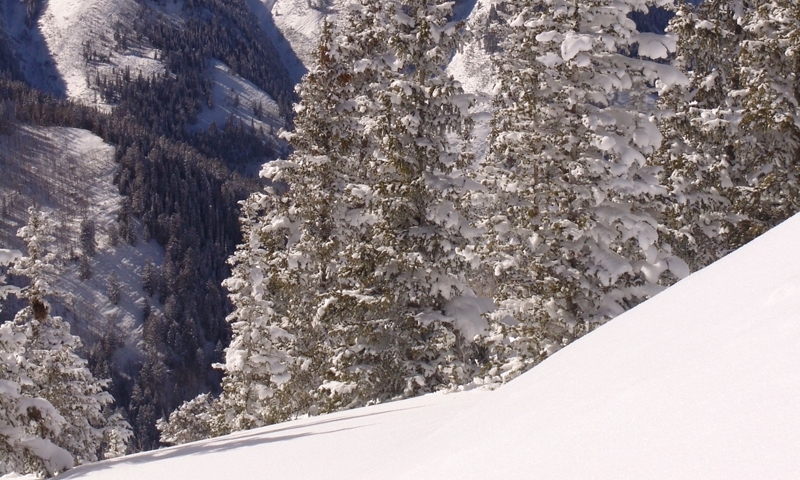 Looking down a ski run at Aspen Mountain