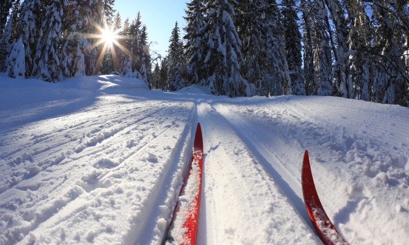 Cross Country Skiing