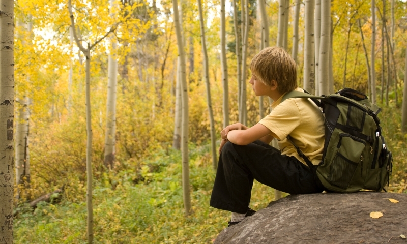 Kid Family Kids Hiking Trail Aspens Colorado