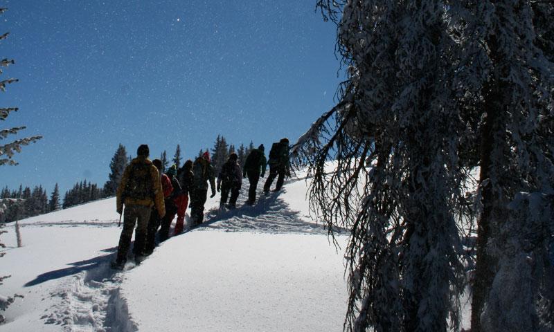 Snowshoeing Tour in Aspen Colorado