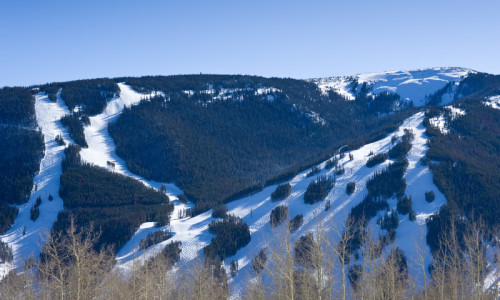 Winter Activities & Services
