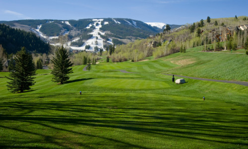 Summer Activities & Services