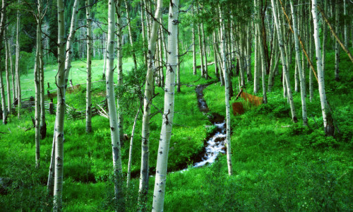 Hunter-Fryingpan Wilderness