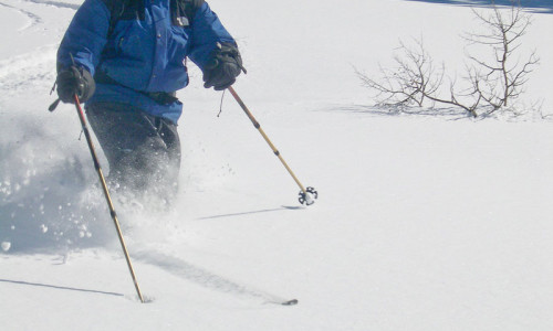 Backcountry Skiing