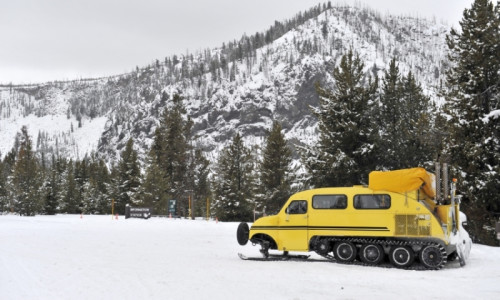 Snowcat Skiing